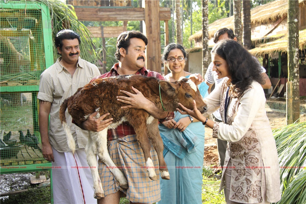 Ividum Swargam Aanu Movie hd photo