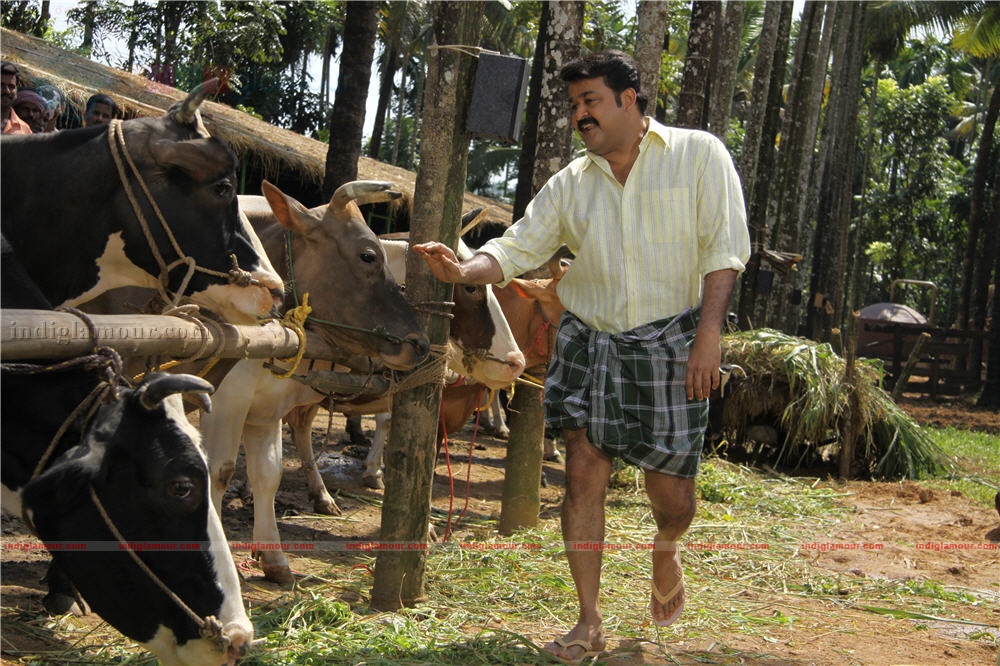 Ividum Swargam Aanu Movie hd photo