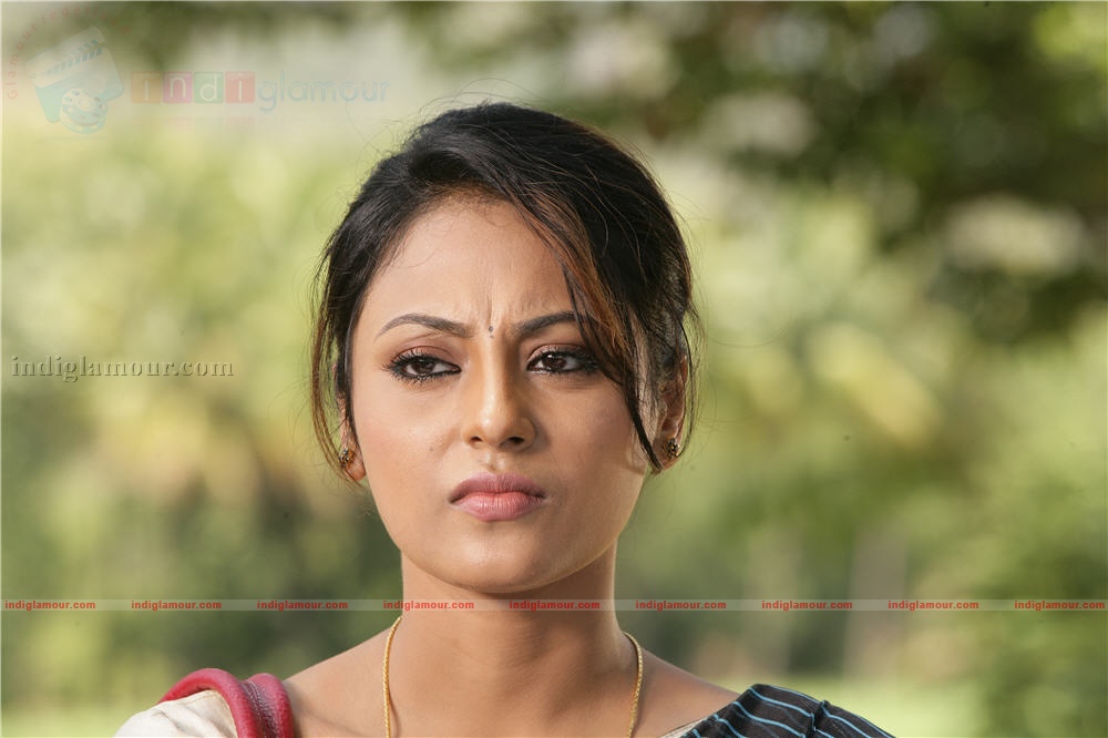 Chattambi Nadu Movie hd photo