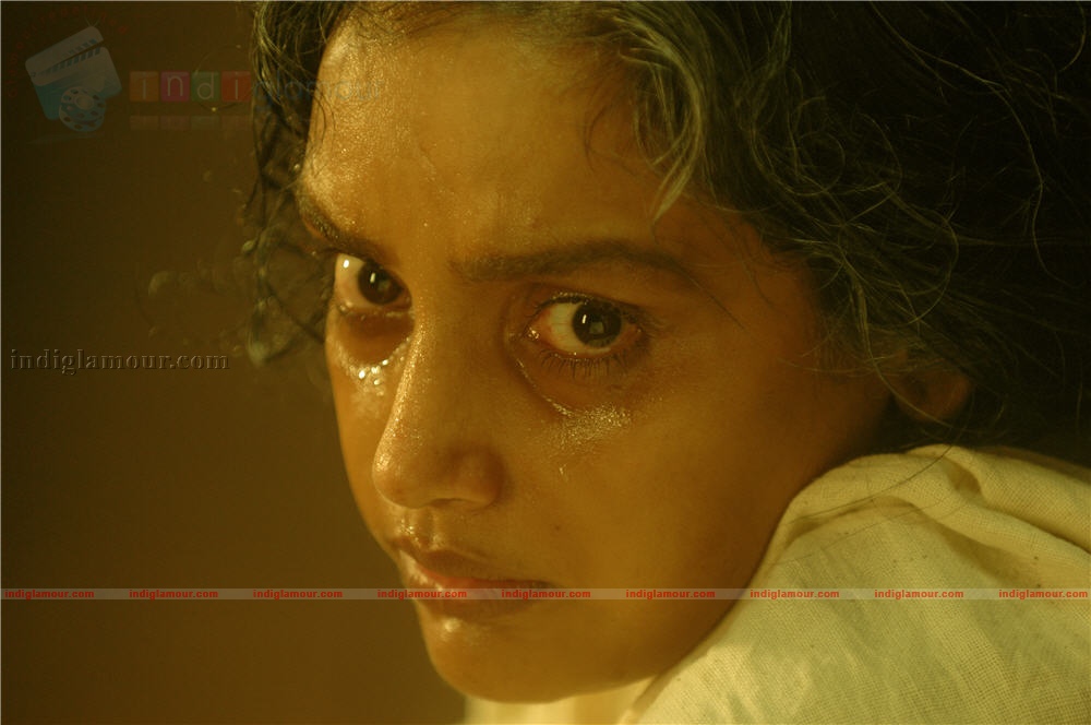 Paleri Manikyam Movie hd photo