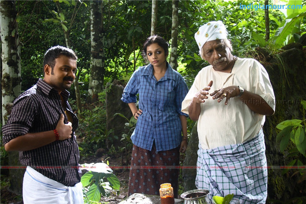 Elsamma Enna Aankutty Movie hd photo
