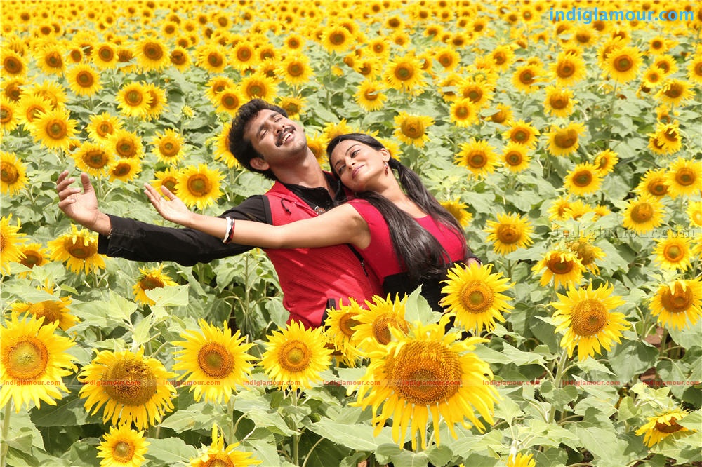 Penpattanam Movie hd photo