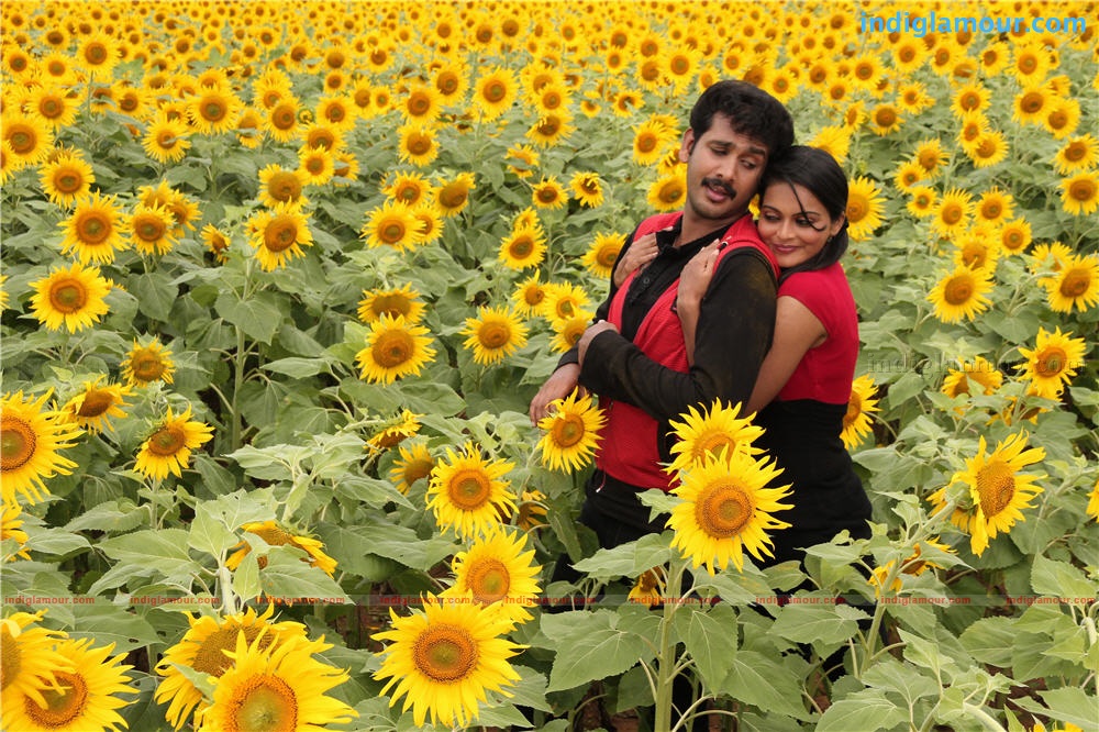 Penpattanam Movie hd photo