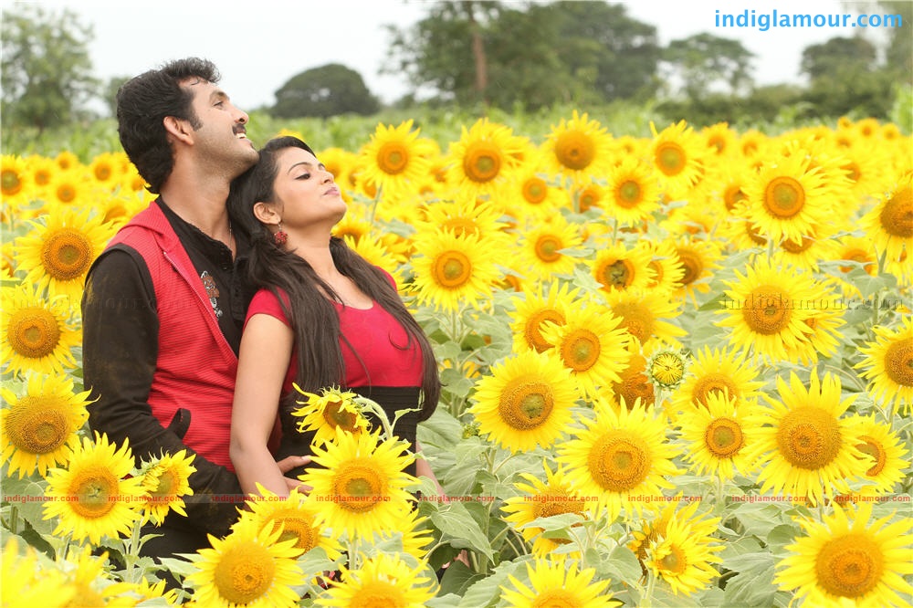 Penpattanam Movie hd photo