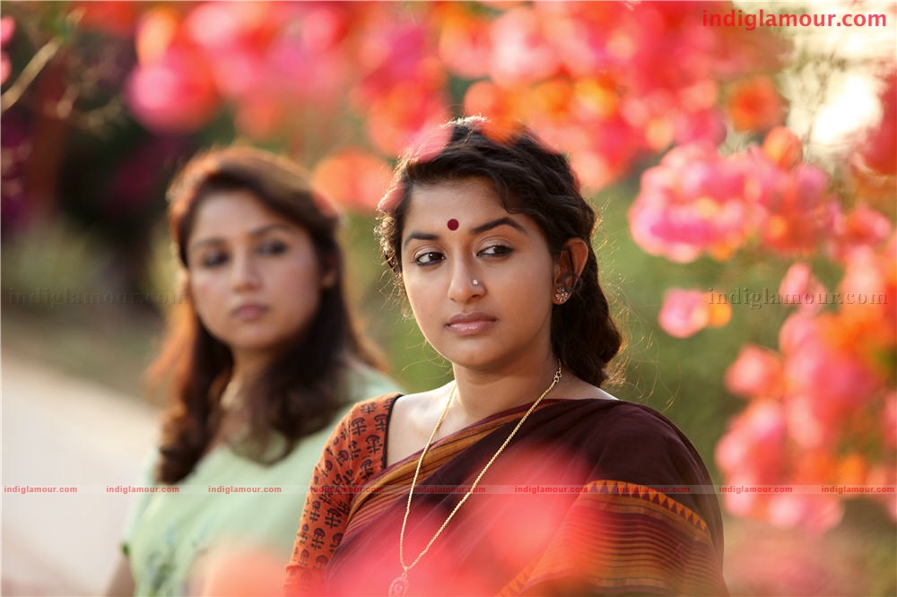 Pattinte Palazhi Movie hd photo