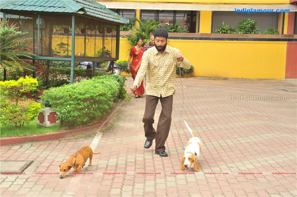 Orkut oru Ormakoot Movie hd photo