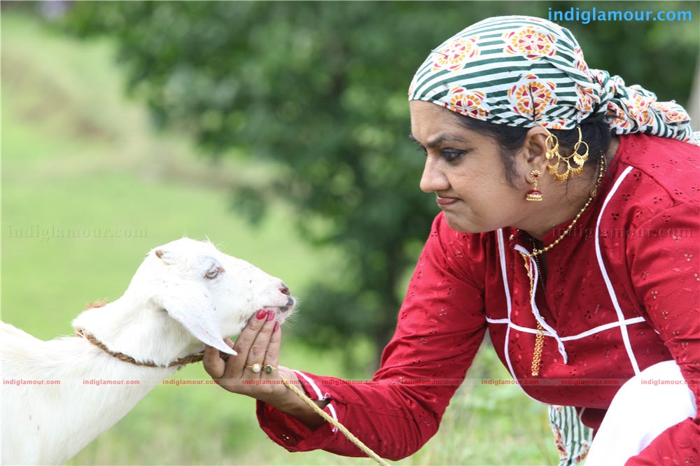 Kudumbasree Travels Movie hd photo