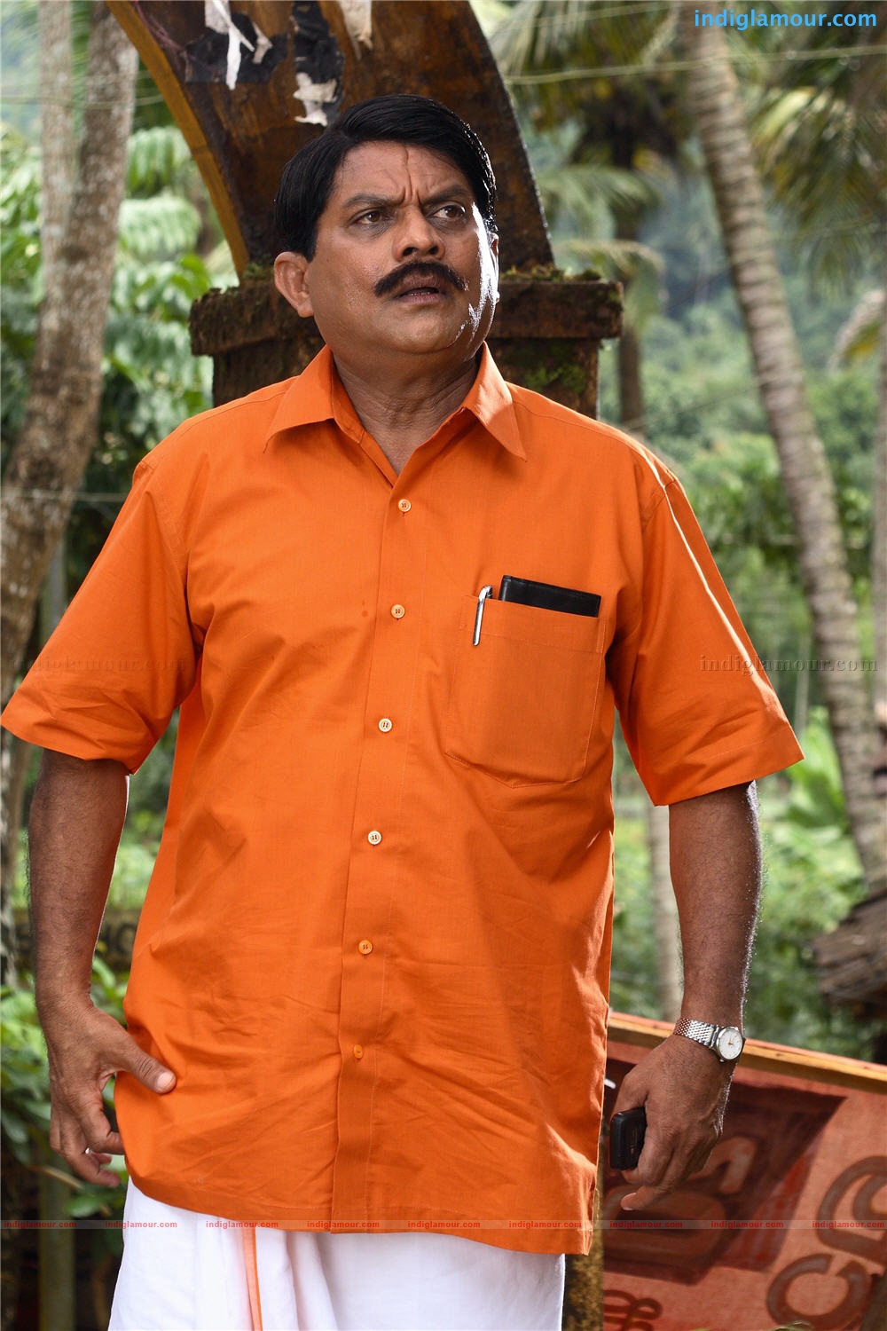 Elsamma Enna Aankutty Movie hd photo