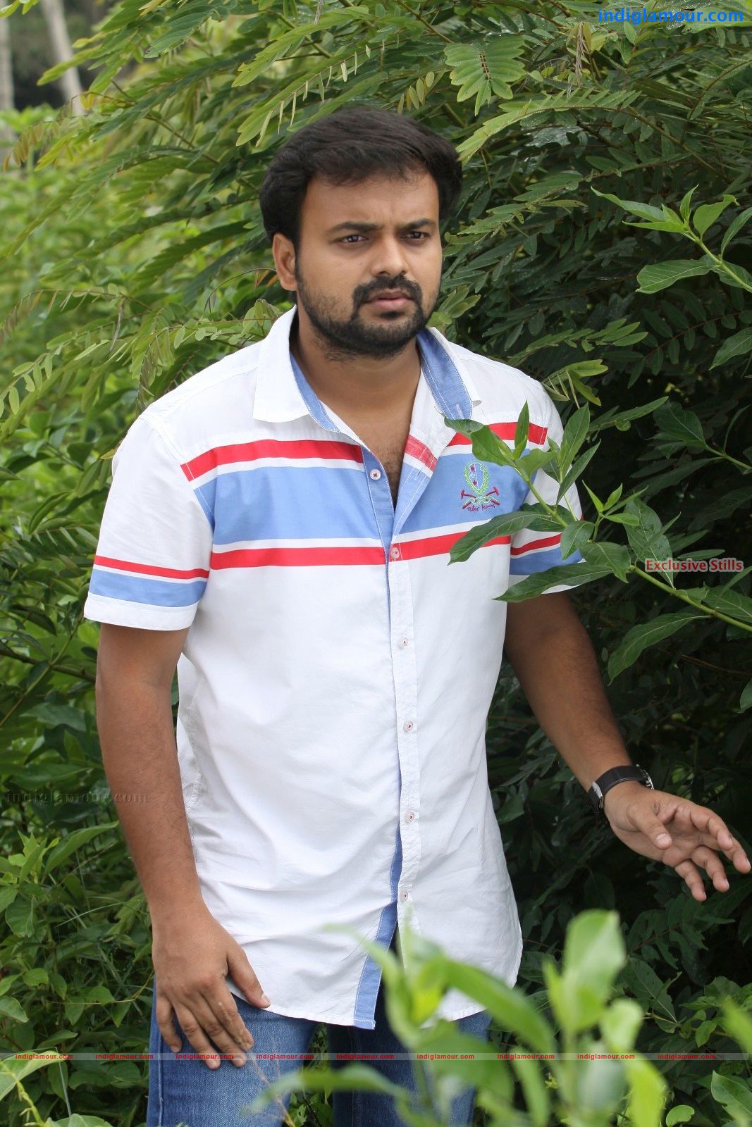 Sandwich Movie hd photo
