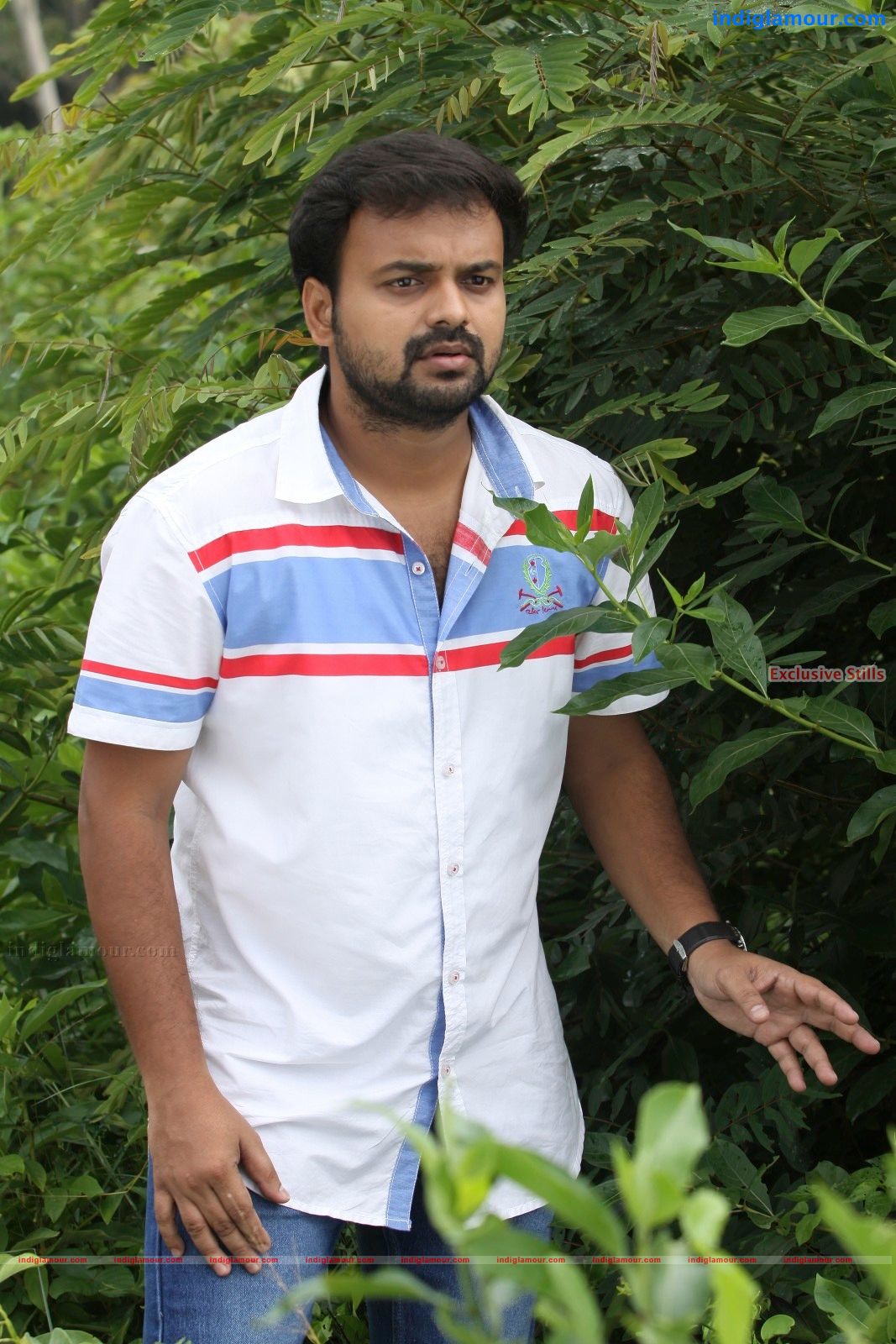 Sandwich Movie hd photo