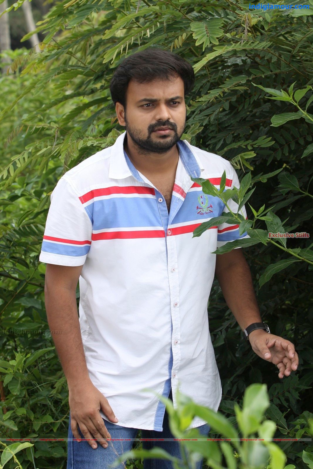 Sandwich Movie hd photo