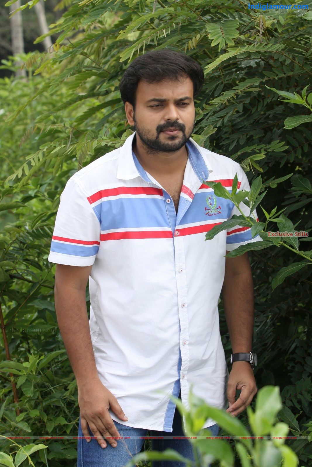Sandwich Movie hd photo