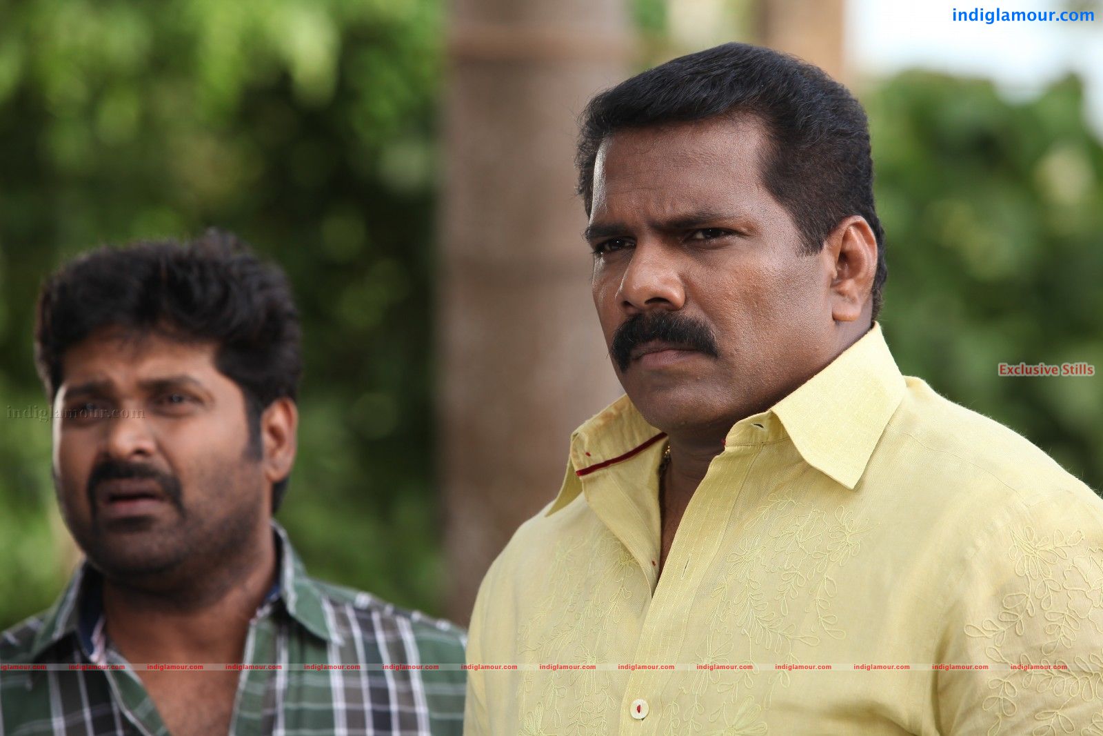 Sandwich Movie hd photo
