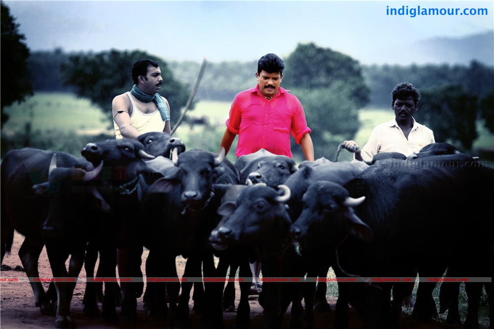 Kunjaliyan Movie hd photo