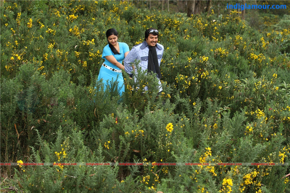 Venicile Vyapari Movie hd photo