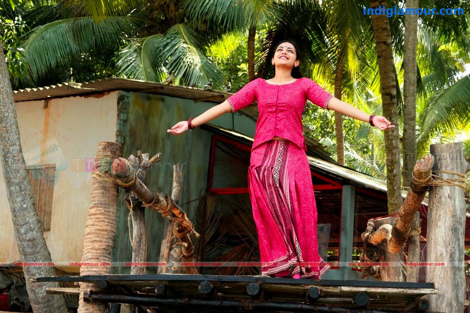 Thalsamayam Oru Penkutty Movie hd photo