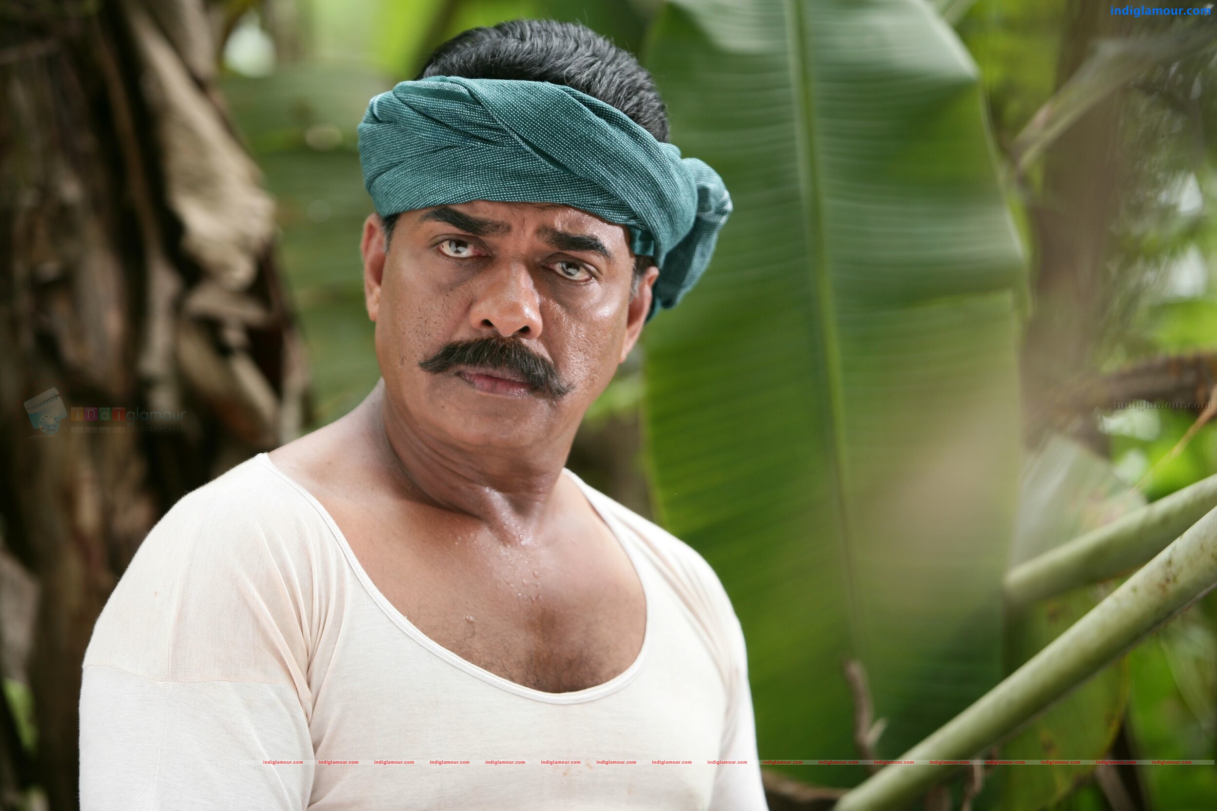 Vaidooryam Movie hd photo