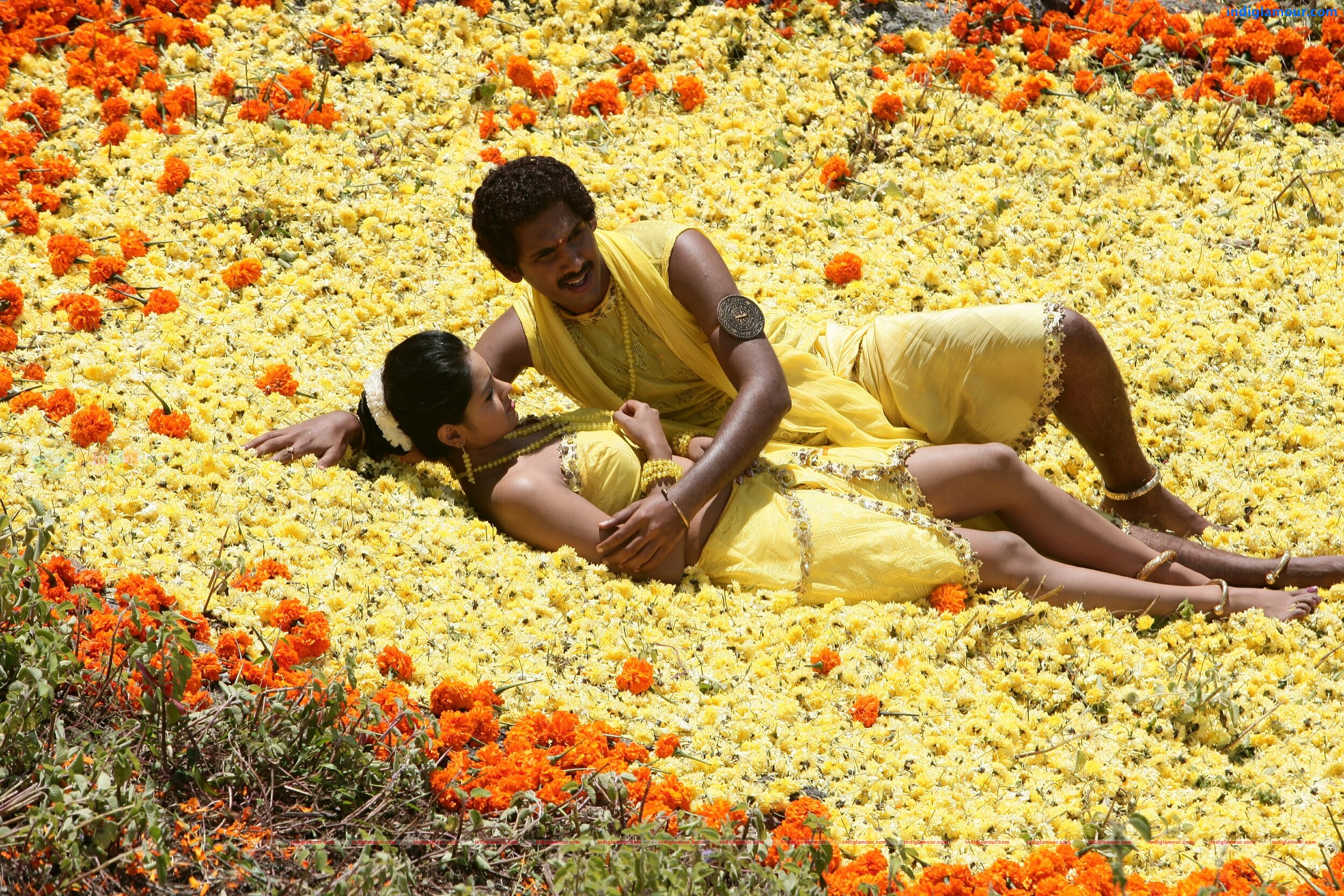 Vaidooryam Movie hd photo