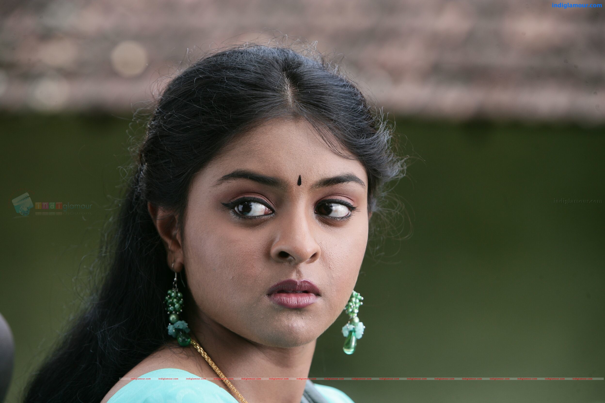 Vaidooryam Movie hd photo