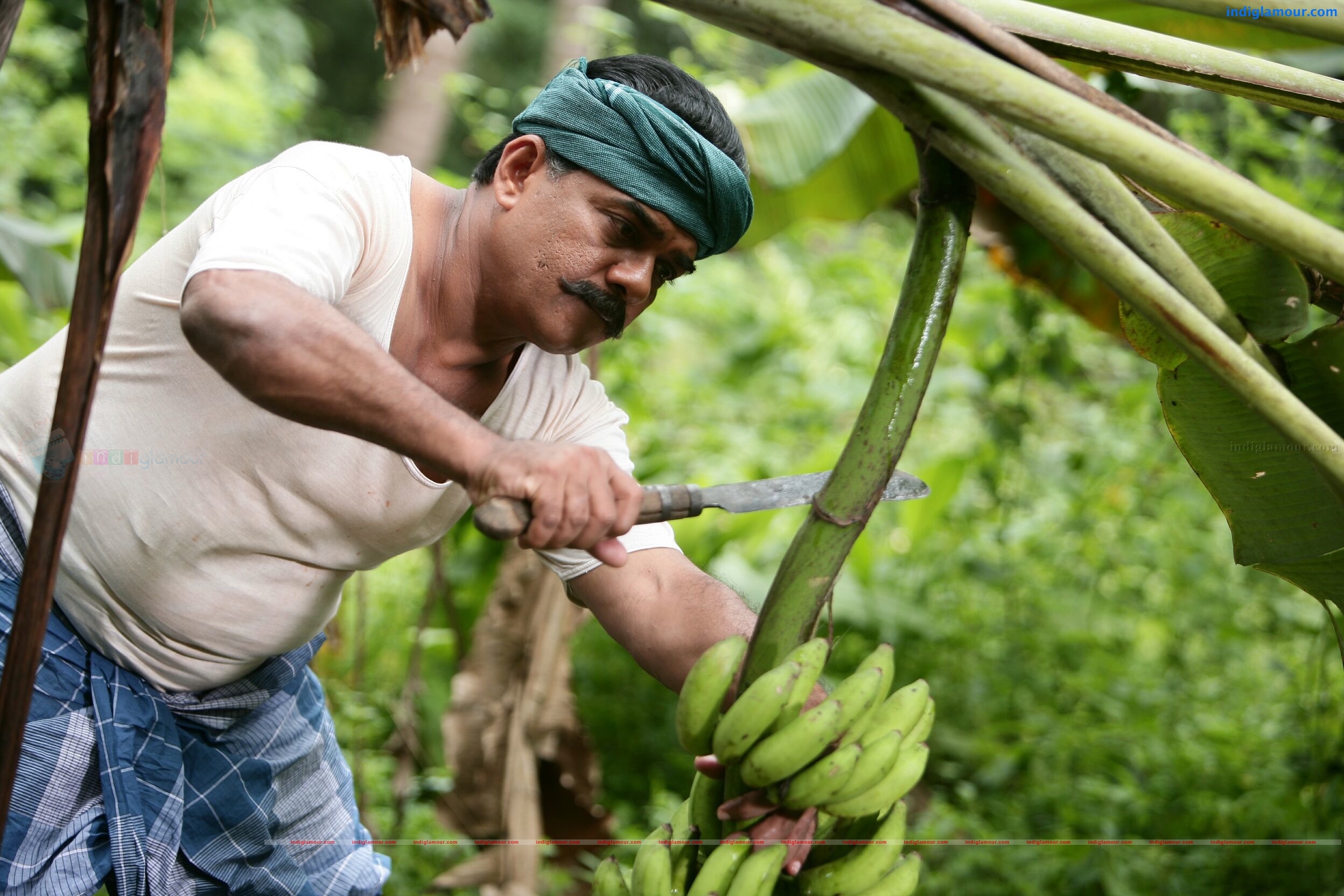 Vaidooryam Movie hd photo