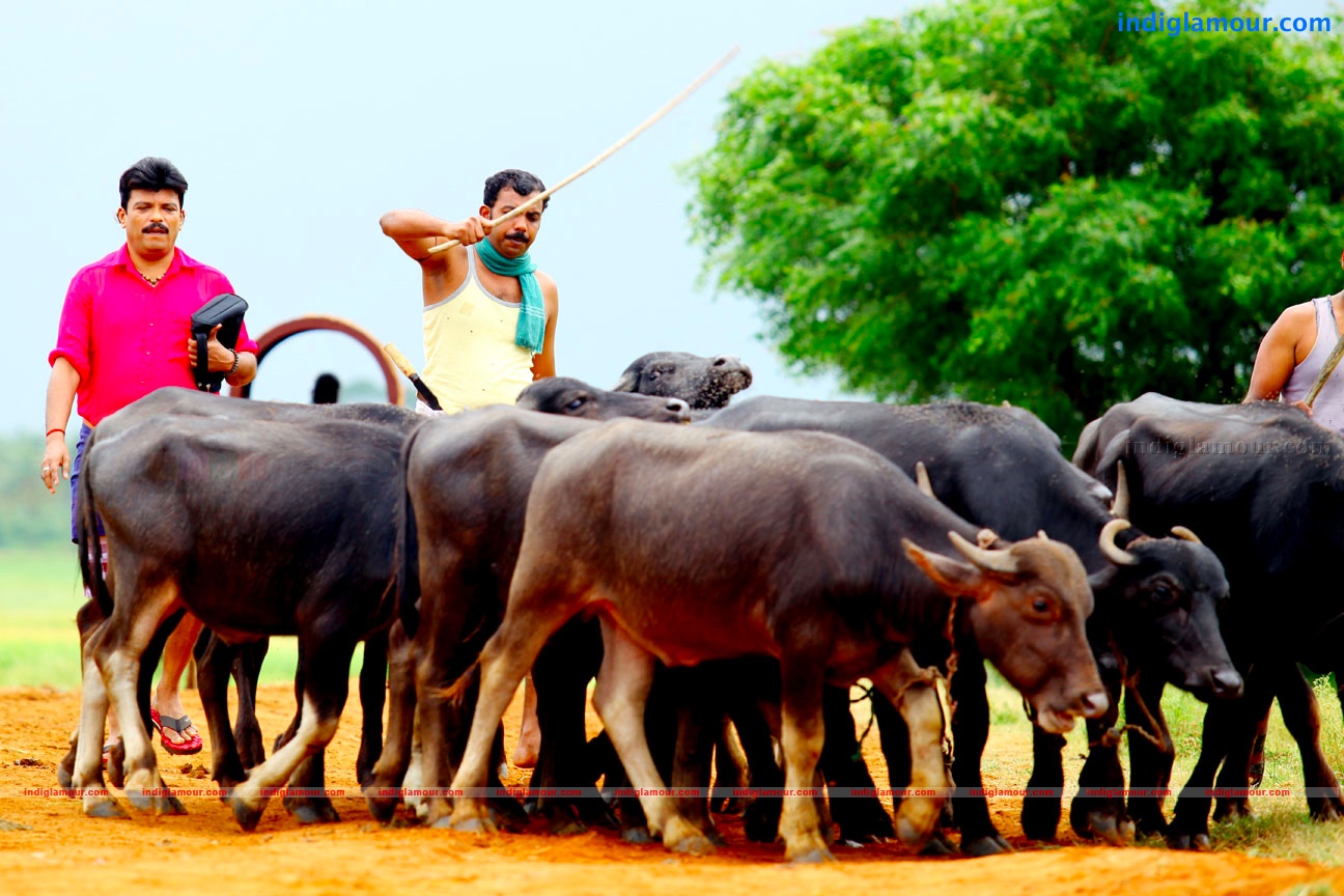 Kunjaliyan Movie hd photo