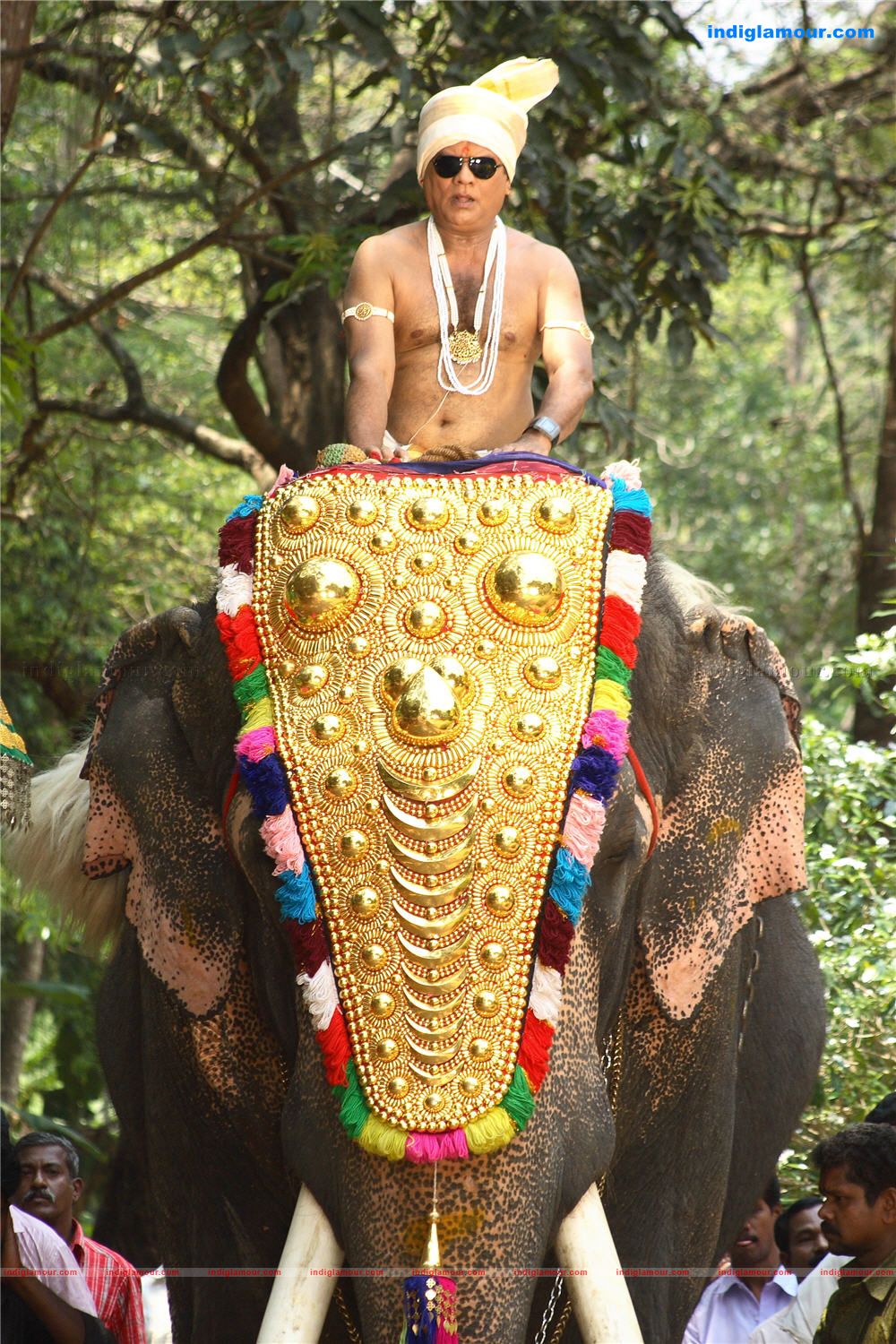 Lucky Jokers Movie hd photo
