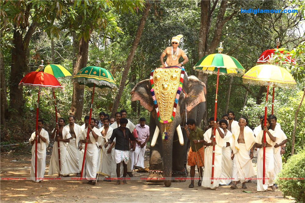 Lucky Jokers Movie hd photo
