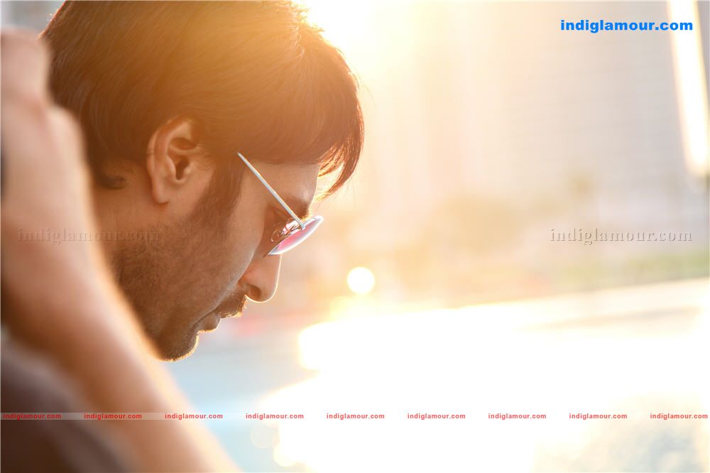 Lavender Movie hd photo