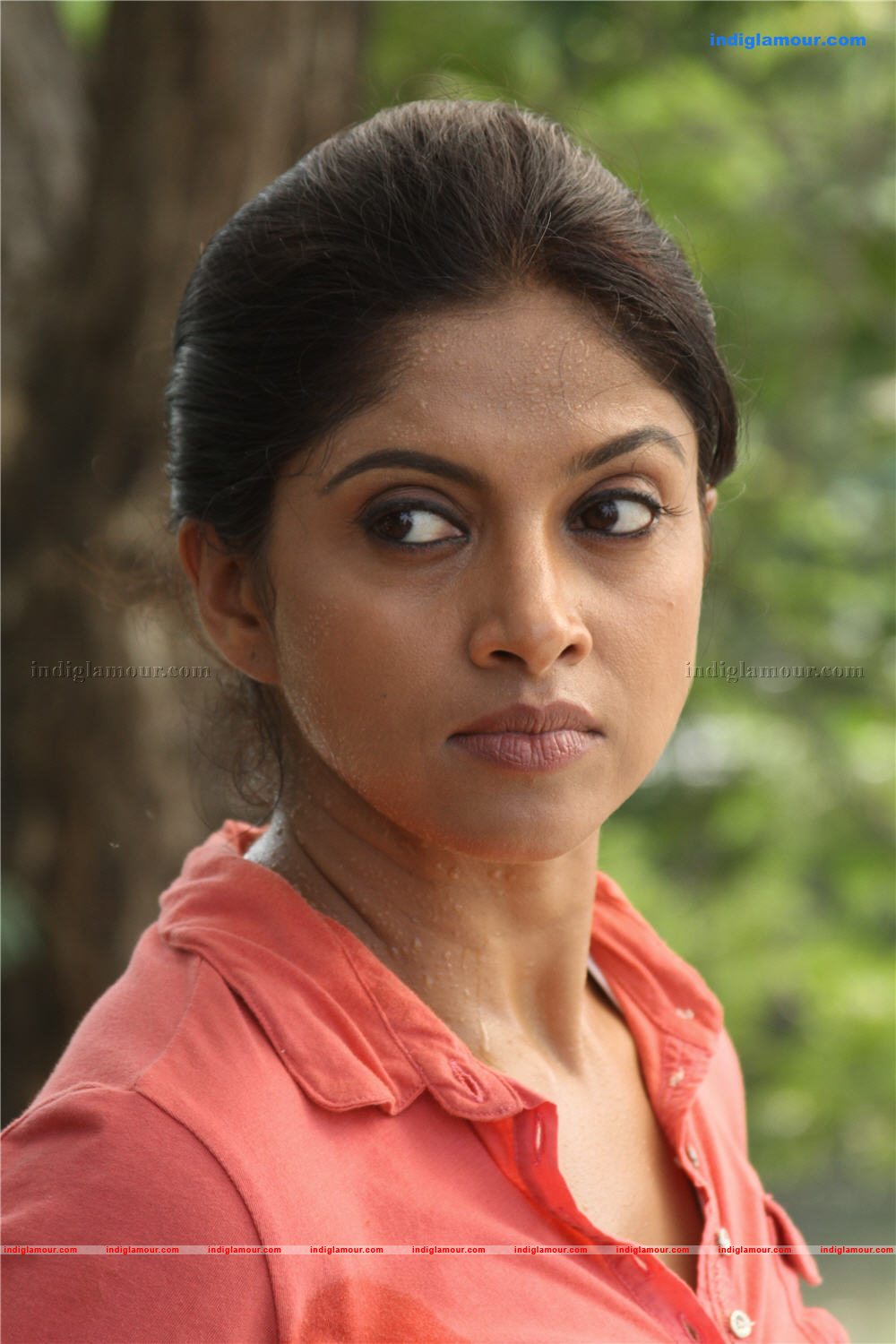 Sevens Movie hd photo
