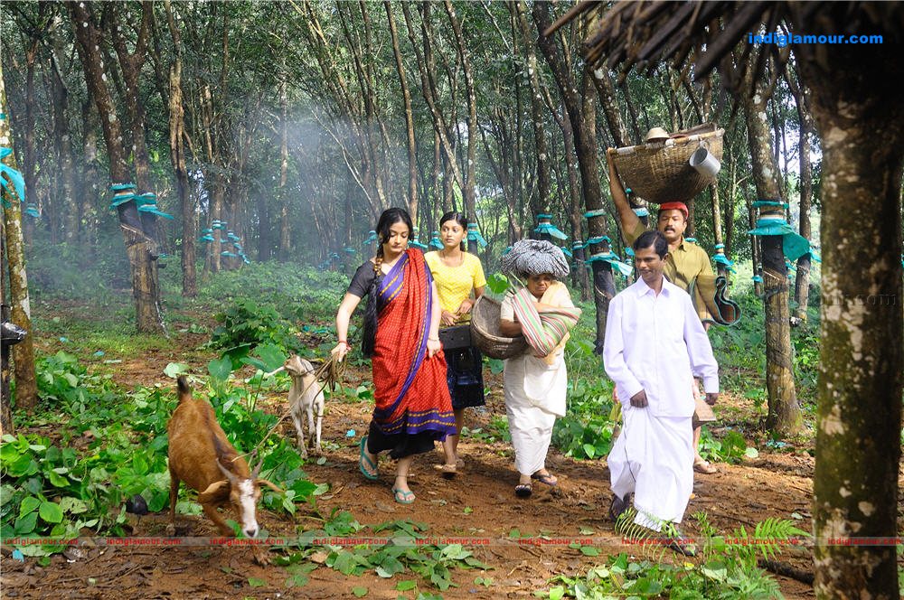 Manushya Mrugam Movie hd photo