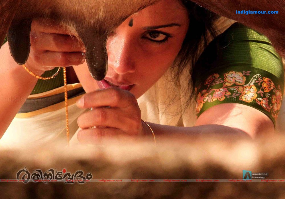 Rathinirvedam Movie hd photo