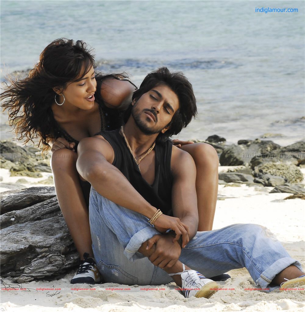 Cheetah Movie hd photo