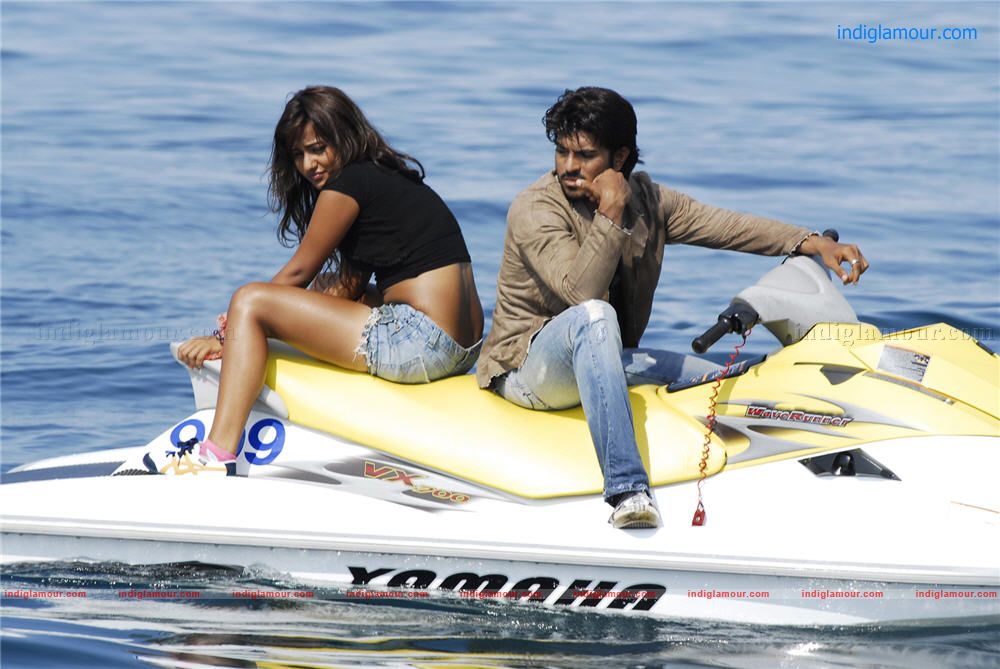 Cheetah Movie hd photo