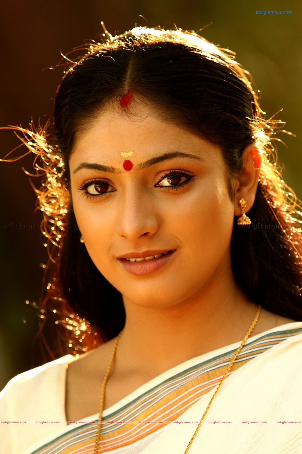 Thiruvambadi Thampan Movie hd photo