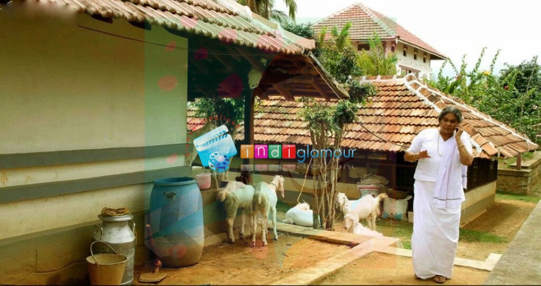Molly Aunty Rocks Movie hd photo