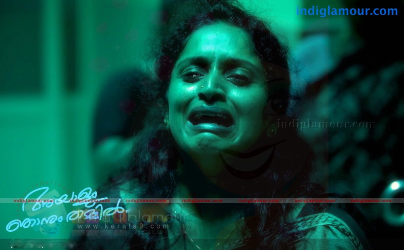 Ayaalum Njanum Thammil Movie hd photo