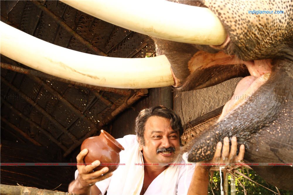 Thiruvambadi Thampan Movie hd photo