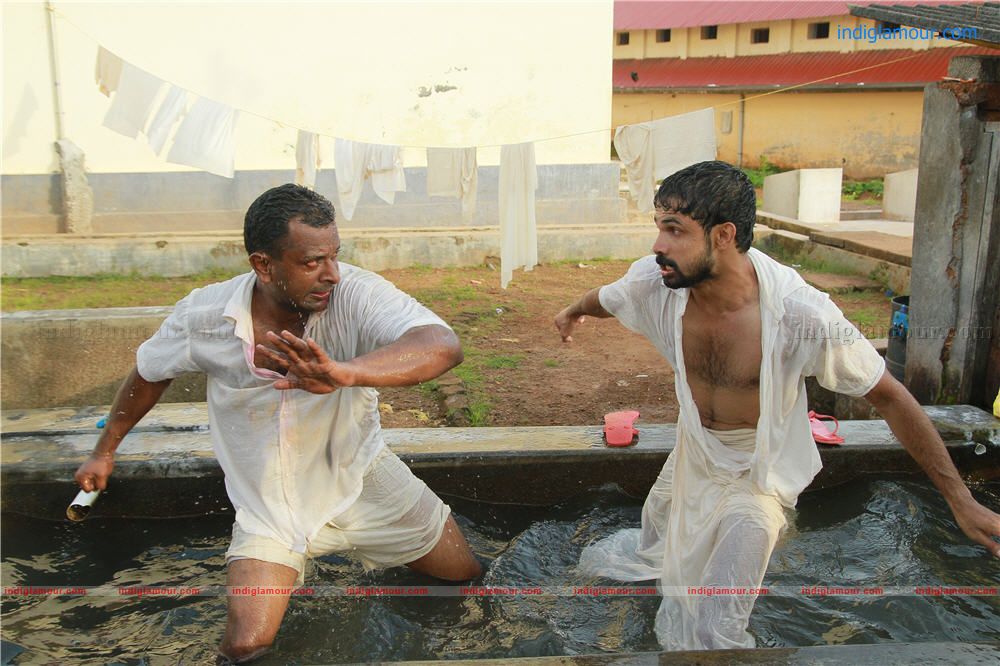 Pocket lover Movie hd photo