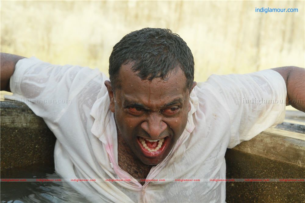 Pocket lover Movie hd photo