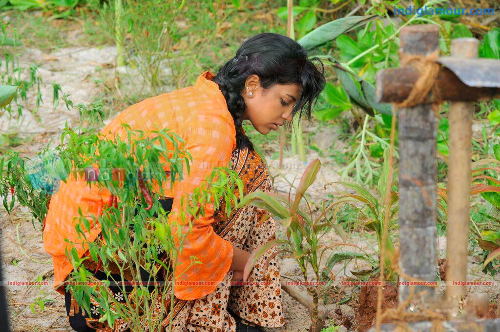 Aakashathinte Niram Movie hd photo