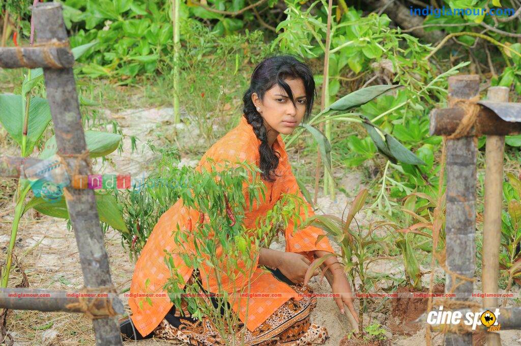 Aakashathinte Niram Movie hd photo