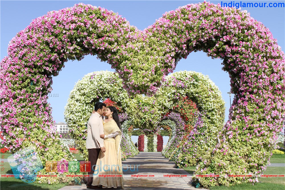 Ladies and Gentleman Movie hd photo