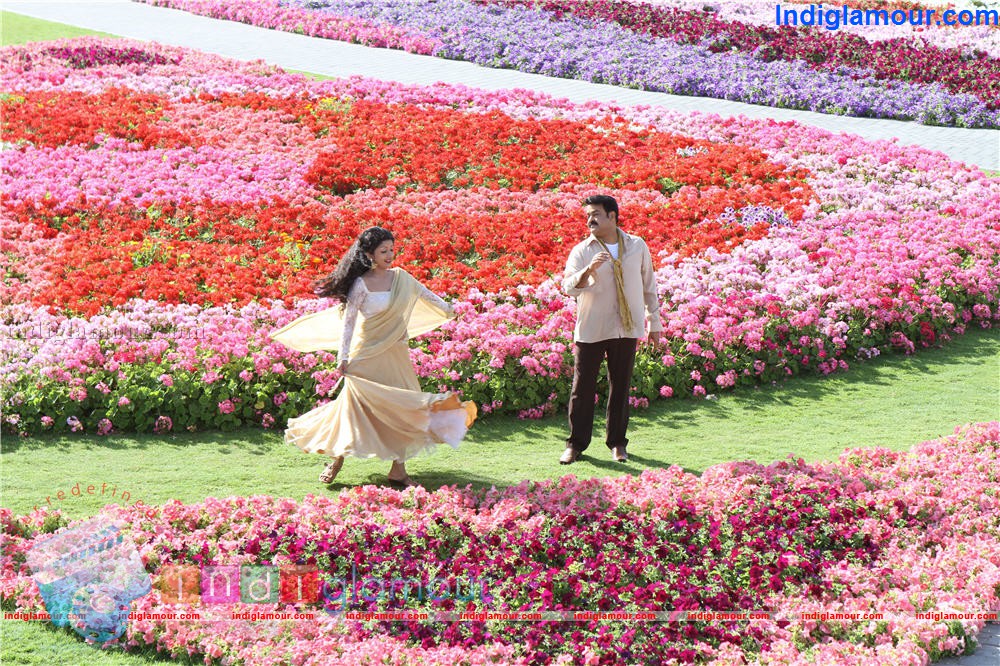 Ladies and Gentleman Movie hd photo