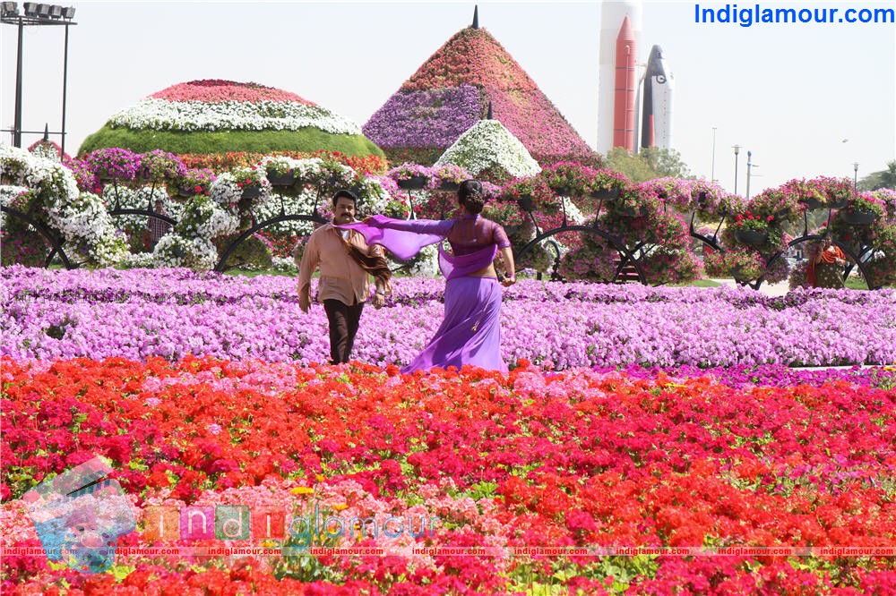Ladies and Gentleman Movie hd photo