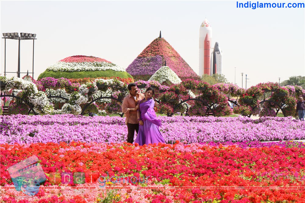 Ladies and Gentleman Movie hd photo