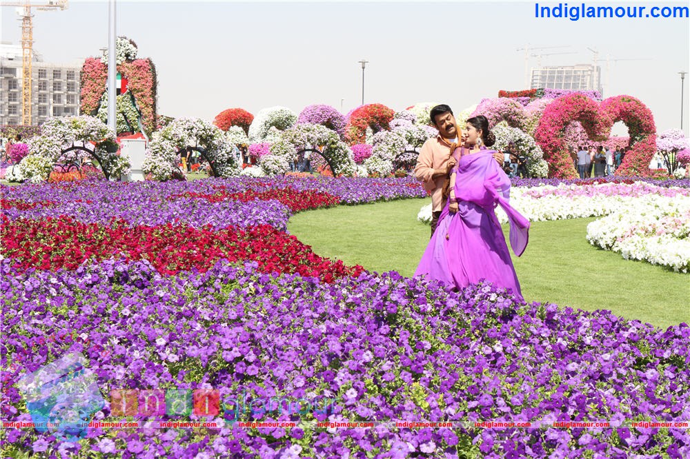 Ladies and Gentleman Movie hd photo