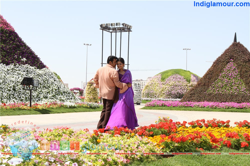 Ladies and Gentleman Movie hd photo