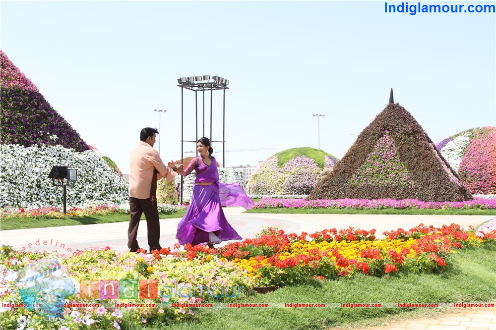 Ladies and Gentleman Movie hd photo