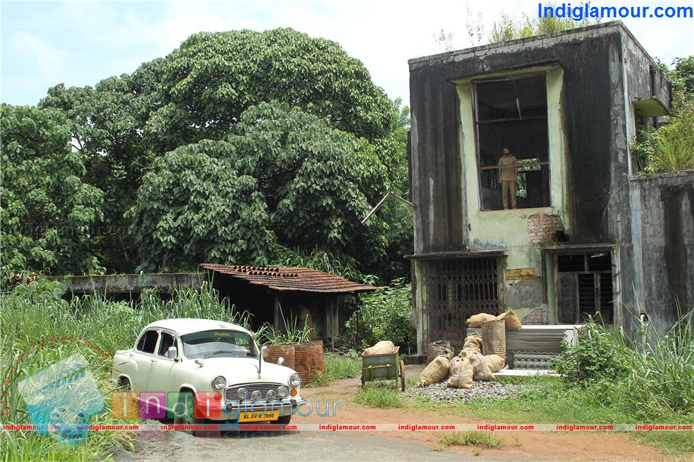 PigMan Movie hd photo