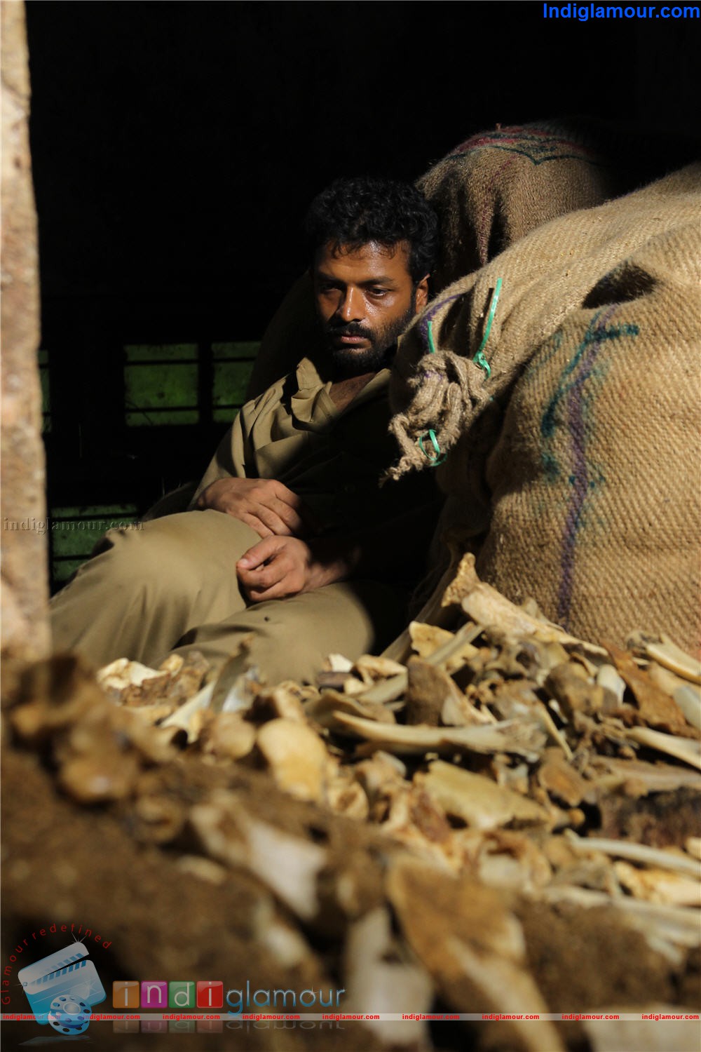 PigMan Movie hd photo